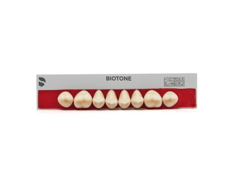 Dente Biotone Posterior Superior - Dentsply