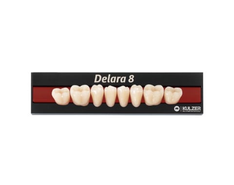 Dente Posterior Delara 32 - Kulzer