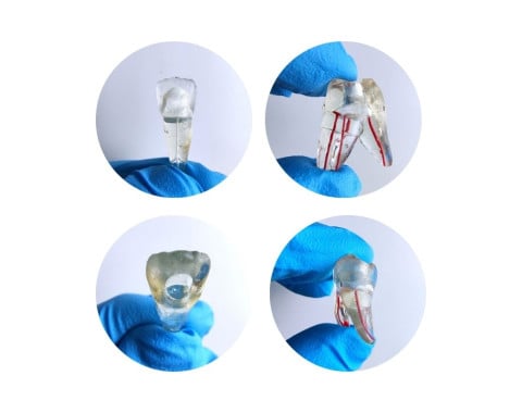 Kit Dentes Artificial - Easy